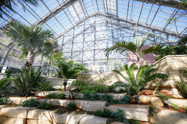 New Conservatory